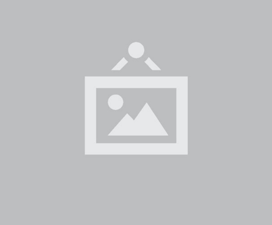 No hay imagen que mostrar